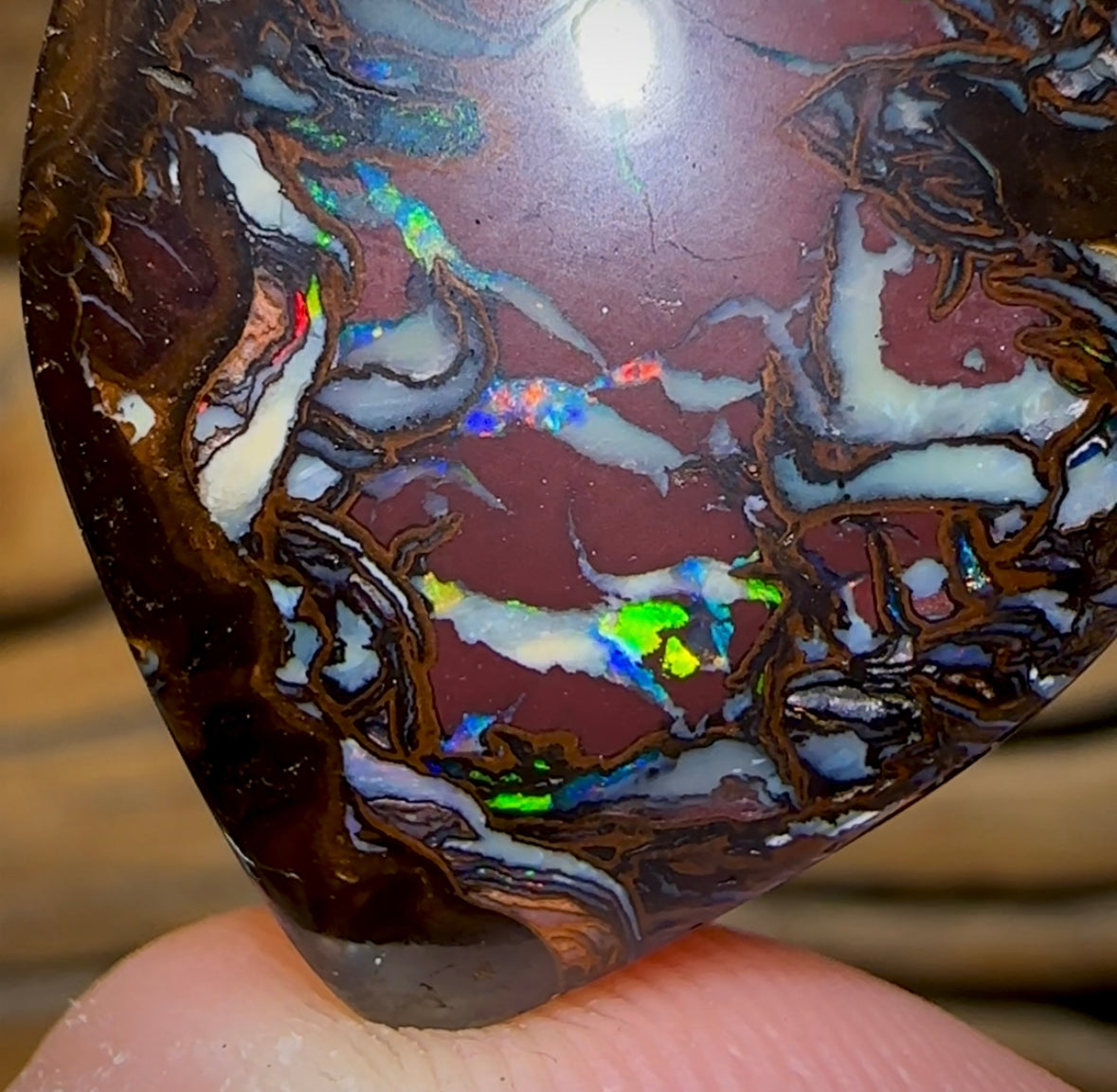 47.9cts - Tribal Koroit Nut Opal. Double Sided - Opal Whisperers