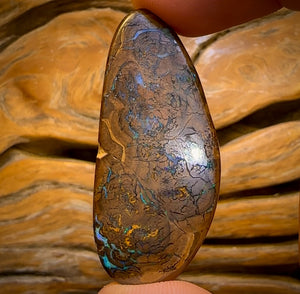 66.1cts - Queensland Boulder Opal from Yowah