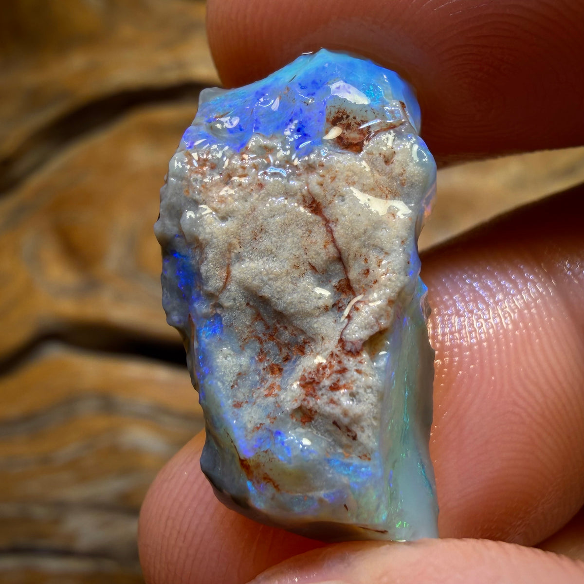 14.1cts - Lightning Ridge Dark Opal Rough Piece