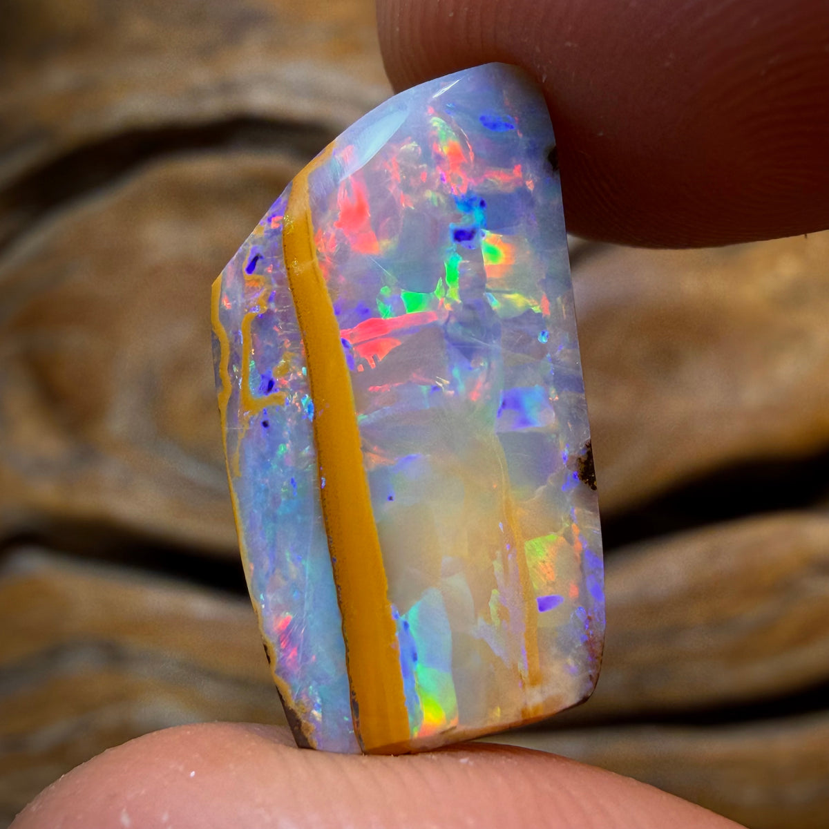 14.4cts - Top Queensland Boulder Seam Opal