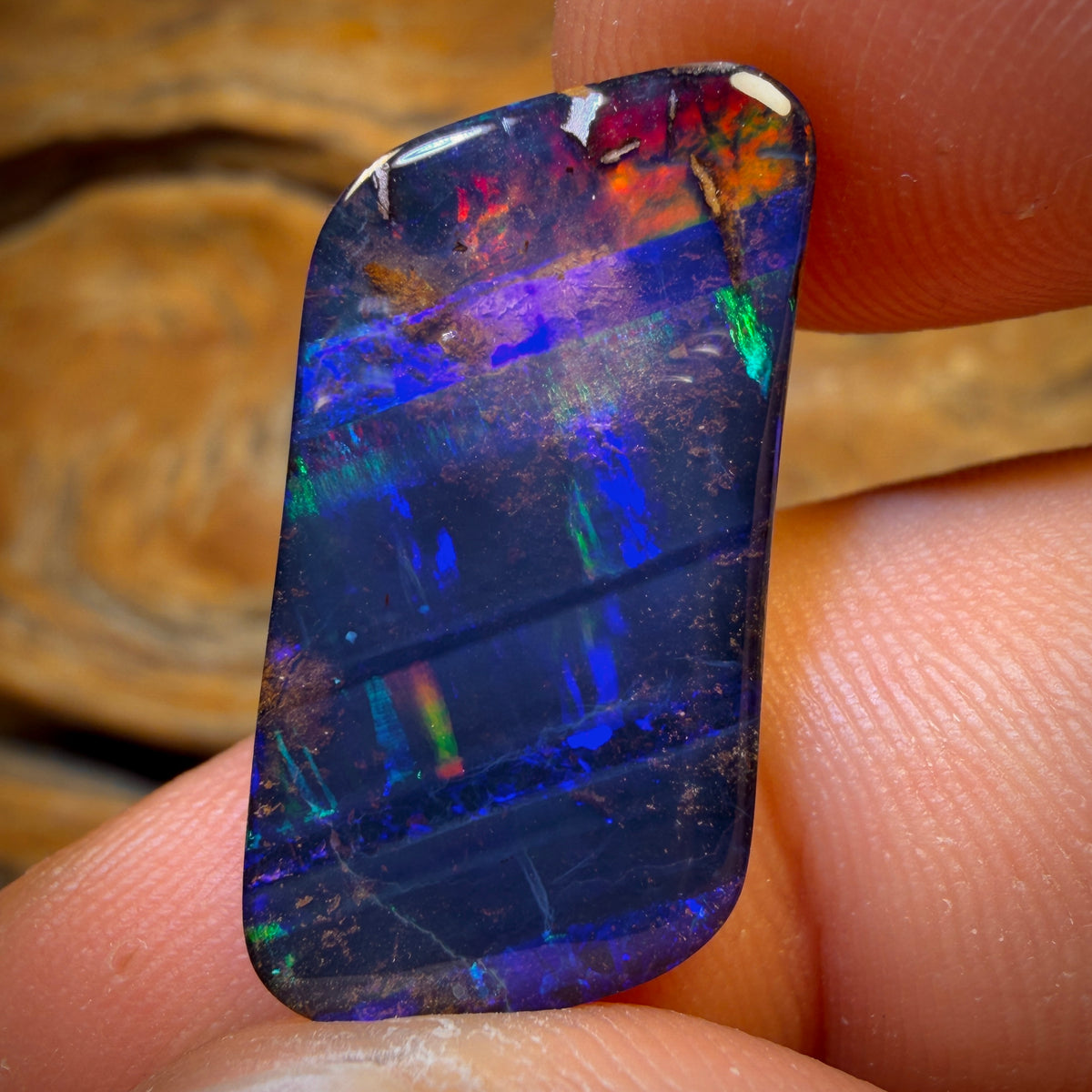 14.5cts -  GEM Queensland Boulder Seam Opal