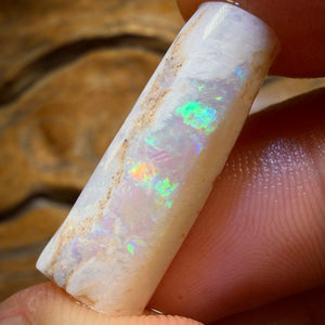 14.9cts - Opalised Belemnite Geological Specimen from South Australia