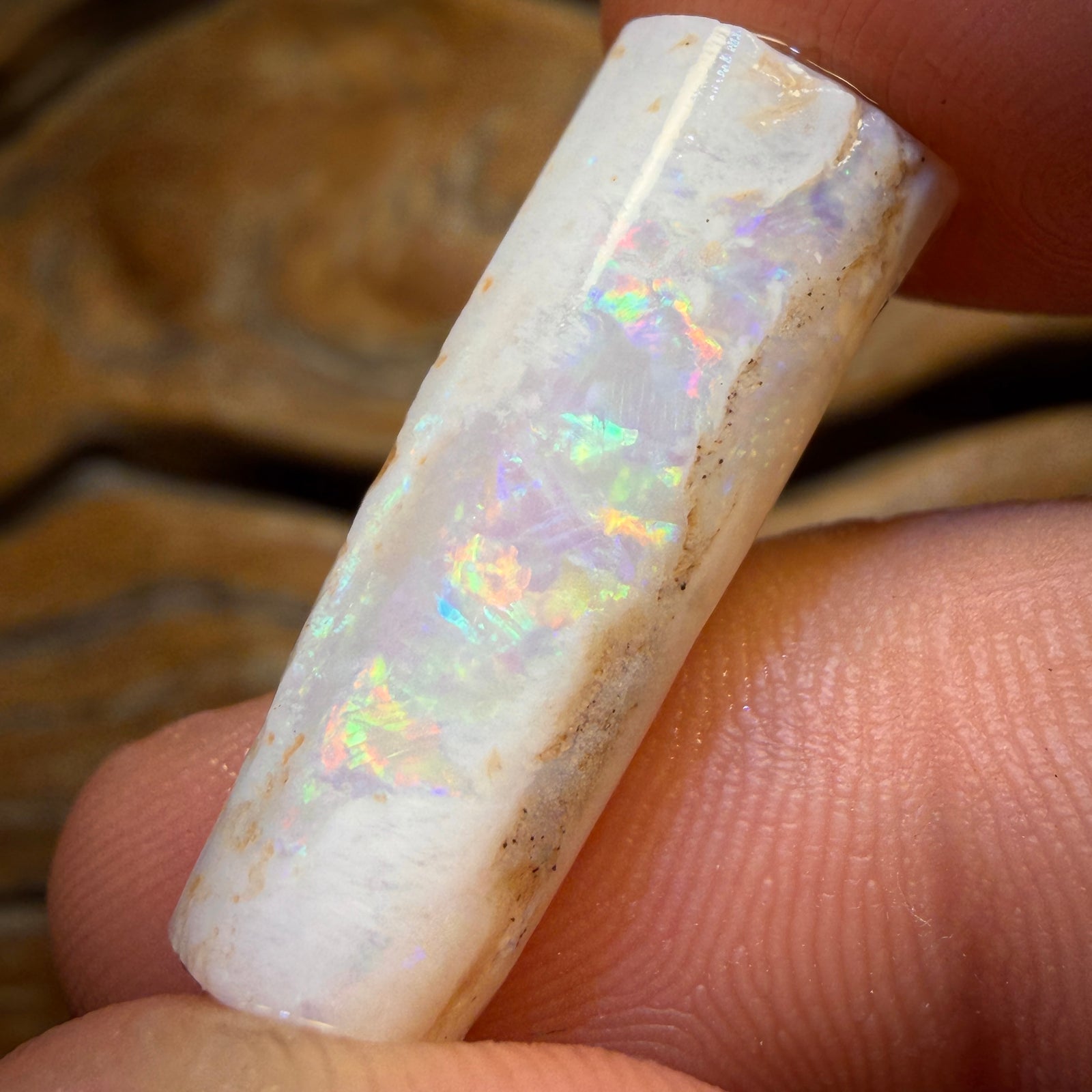 14.9cts - Opalised Belemnite Geological Specimen from South Australia
