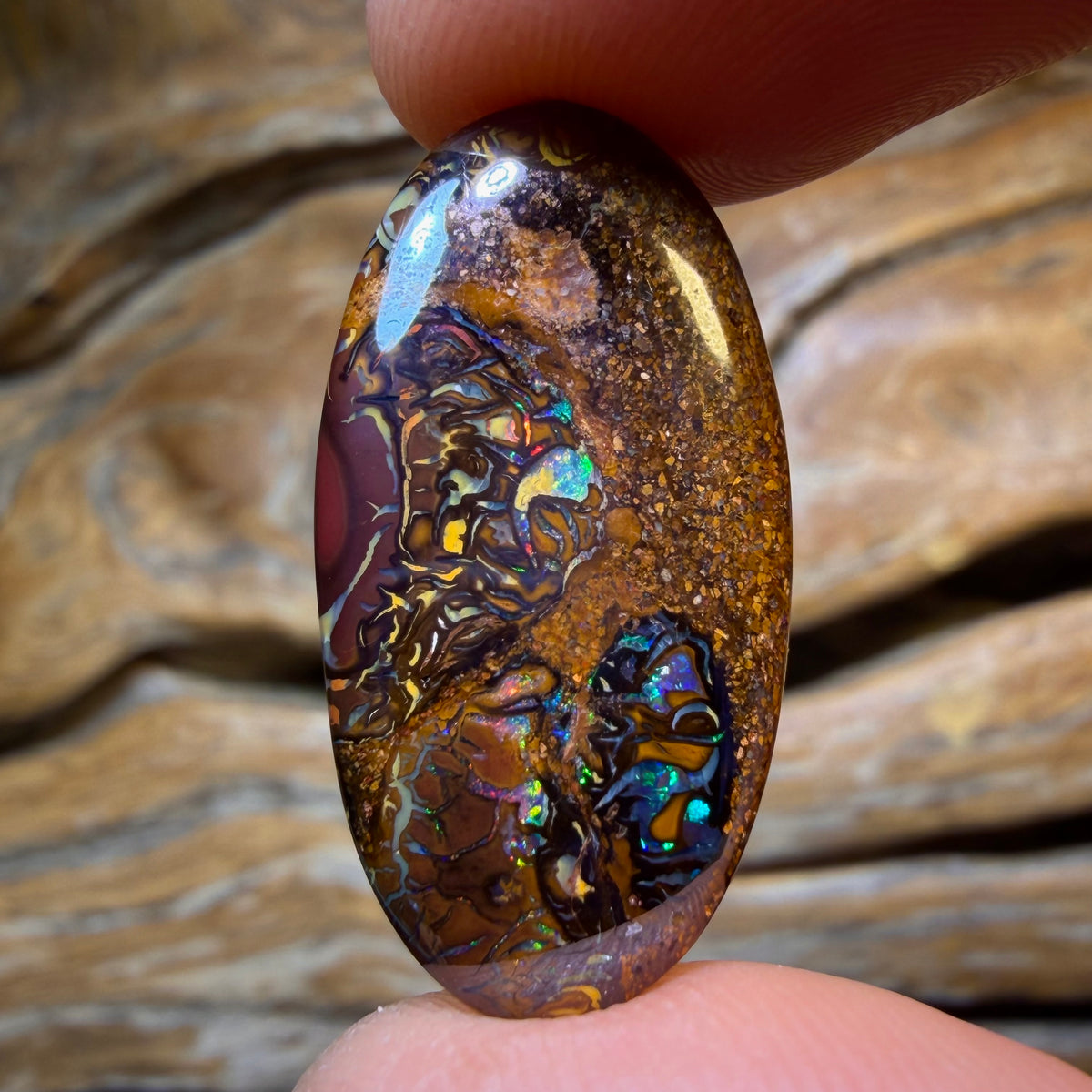 14.9cts - Tribal Queensland Boulder Opal. Australian Opal