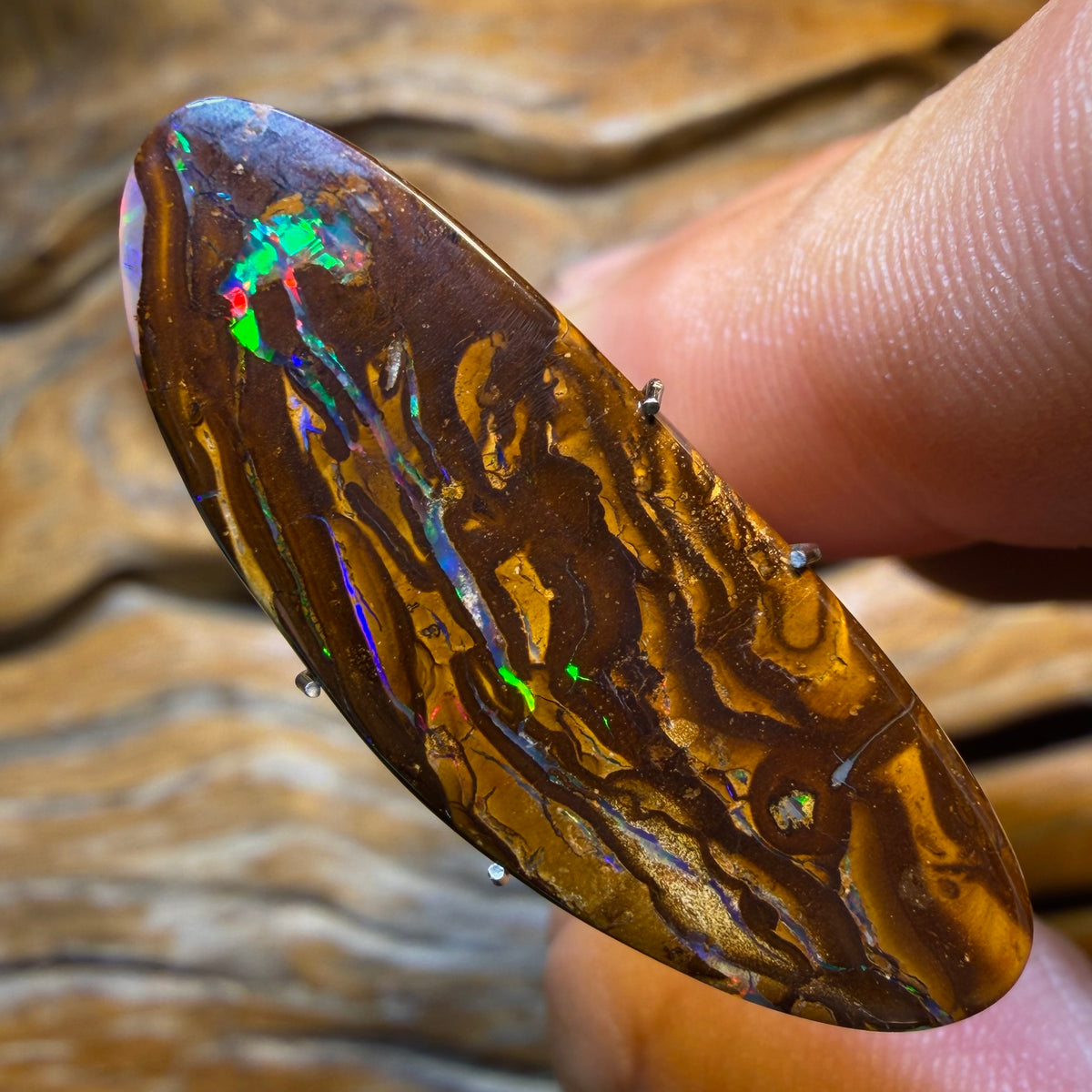 14.9cts - Yowah Nut Opal. Red Multicolour