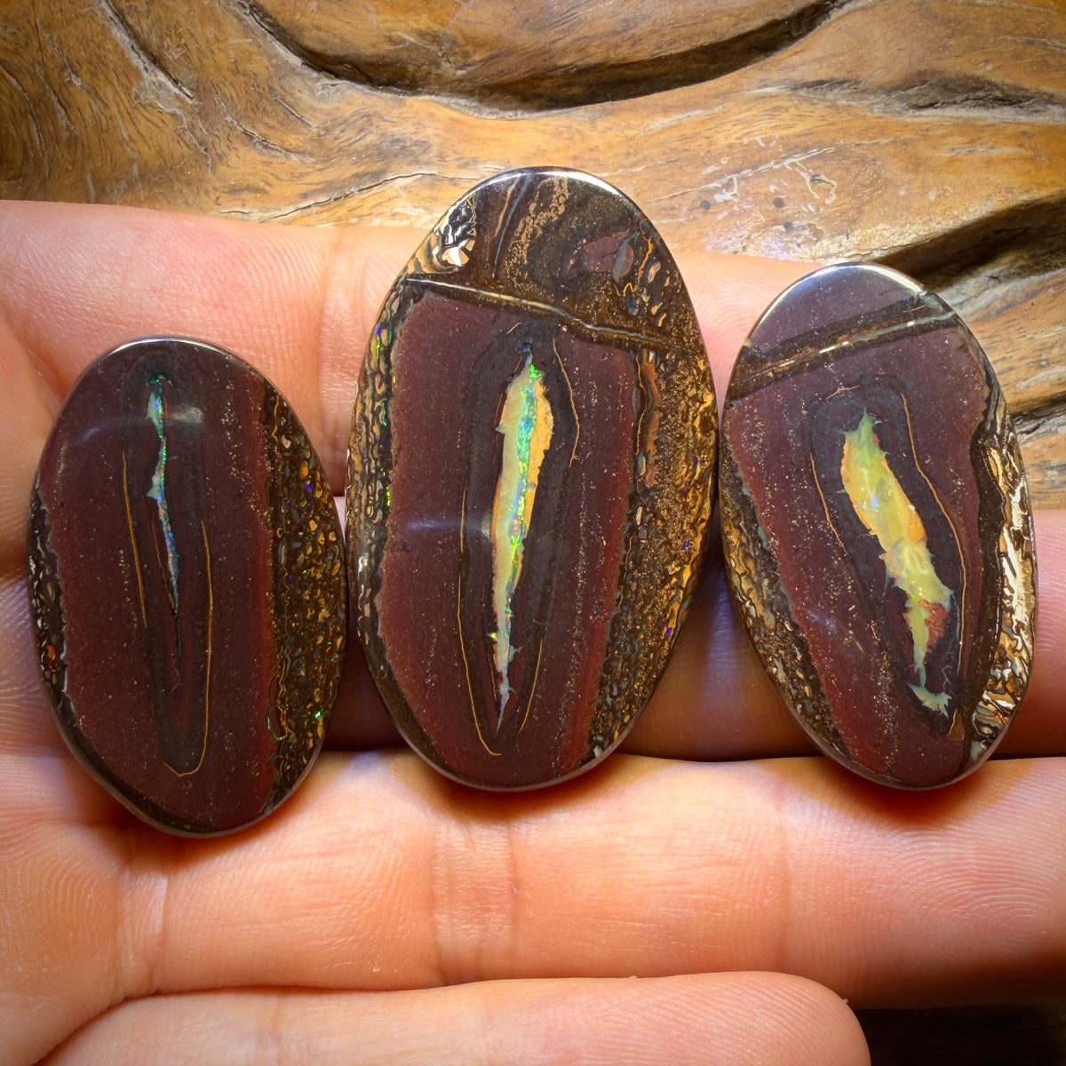 201.8cts - Super Rare Yowah Nut Crystal Centre Opal Trio Parcel. Australian Opal
