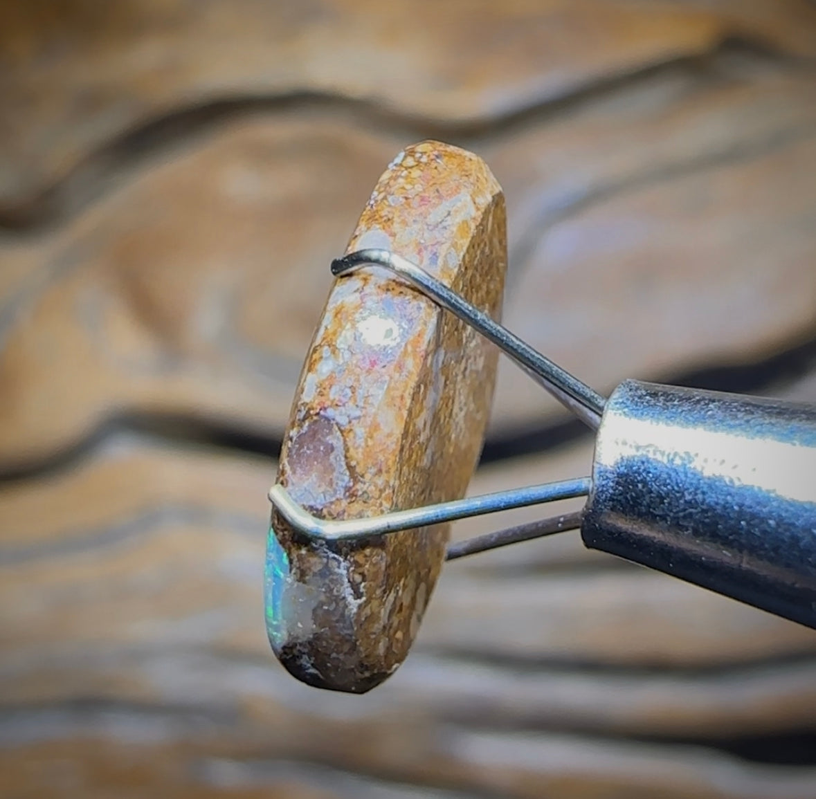 3.4cts - Solid Australian Boulder Pipe Opal - Opal Whisperers