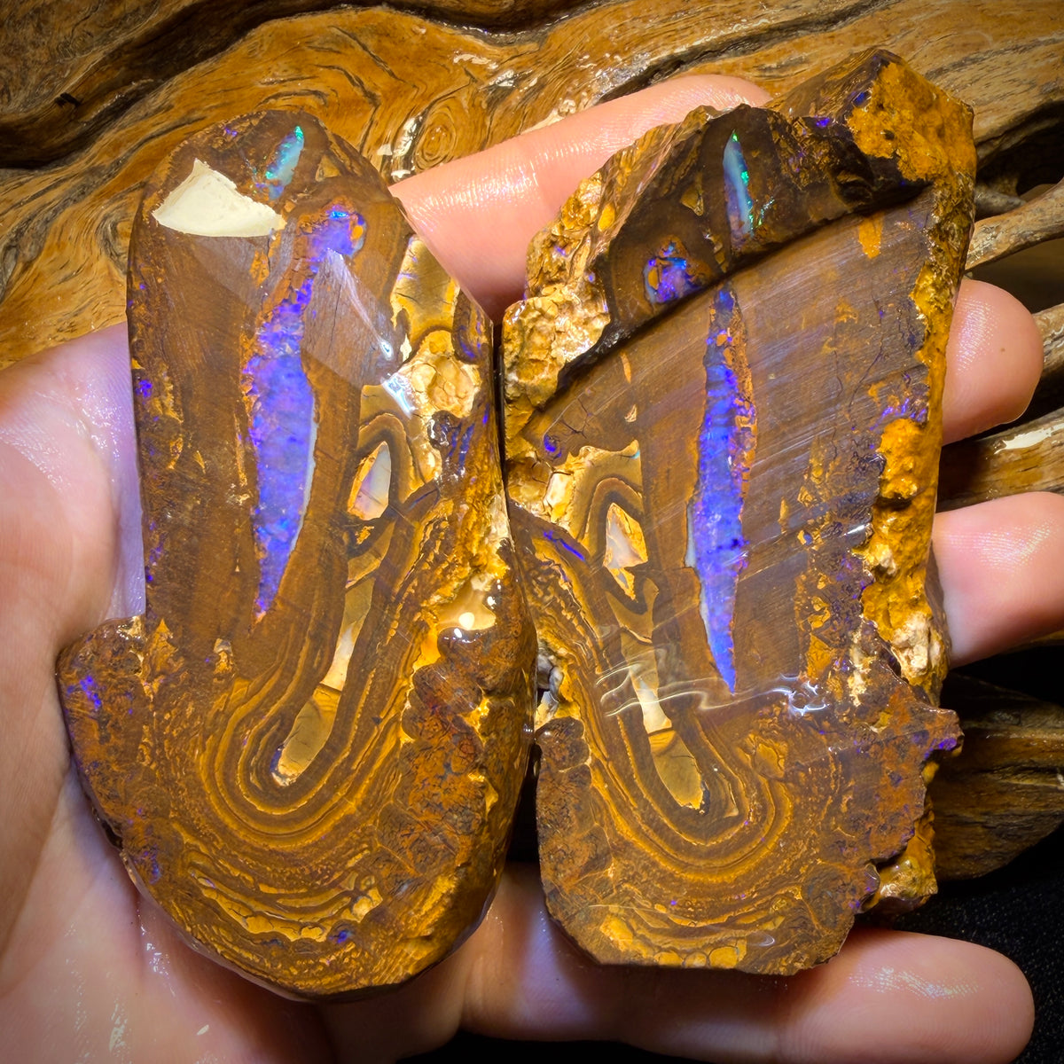 1423cts - Queensland Boulder Opal Rough Pair. Found on ‘Outback Opal Hunters’!