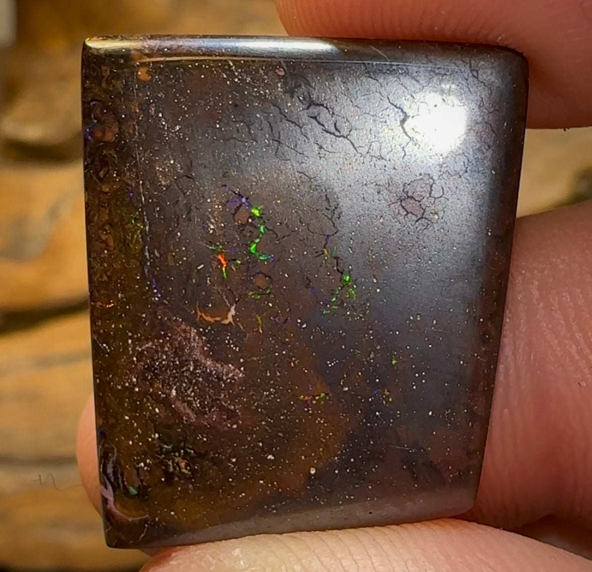 27.3cts - Queensland Boulder Opal - Opal Whisperers