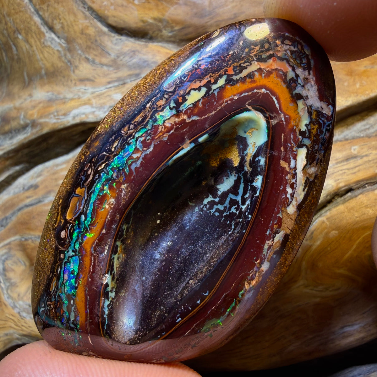 144.9cts - Tribal Queensland Boulder Opal. Dremelled Face