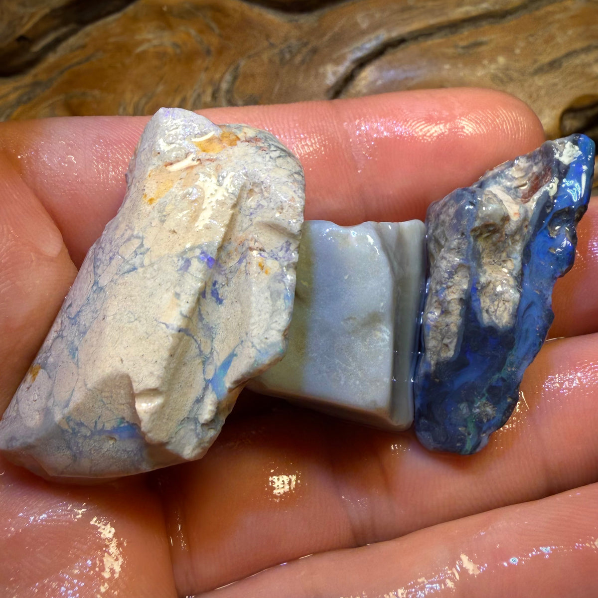 145.4cts - 3x Lightning Ridge Opal Rough Parcel
