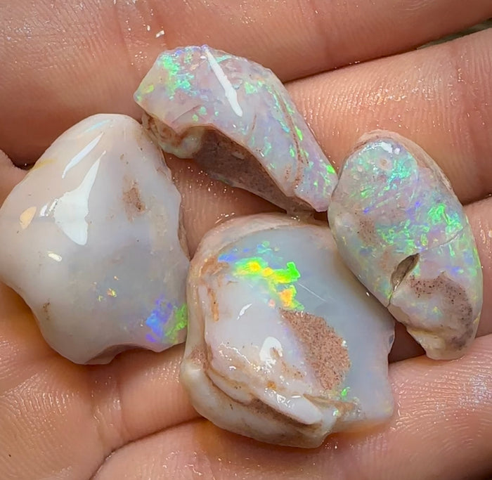 The 86.6cts - 4x Opalised Shell Geological Specimens from South Australia - Opal Whisperers