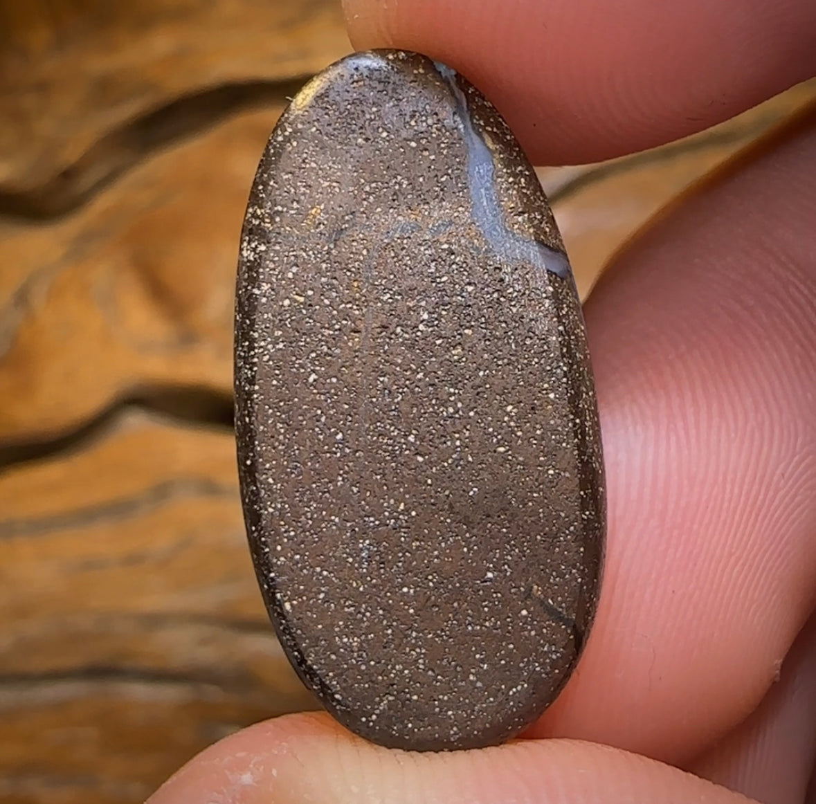 21.1cts - “Midnight Egg”Australian Boulder Seam Opal. GEM QUALITY - Opal Whisperers