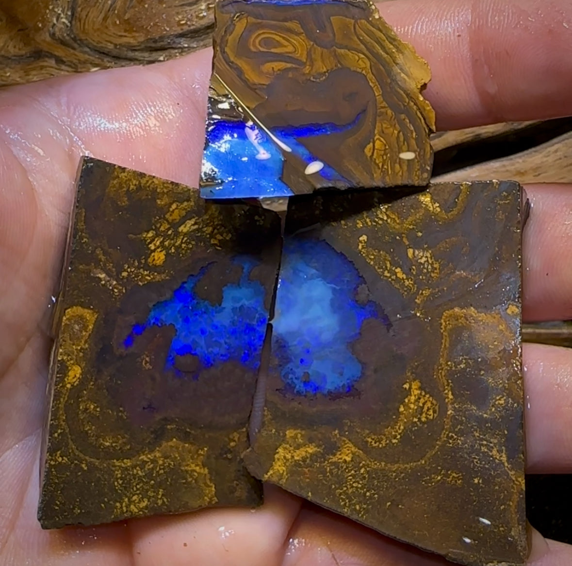525cts - HUGE Blue Slab Bargain 3x Queensland Boulder Rough Opal Parcel. Yowah Nut