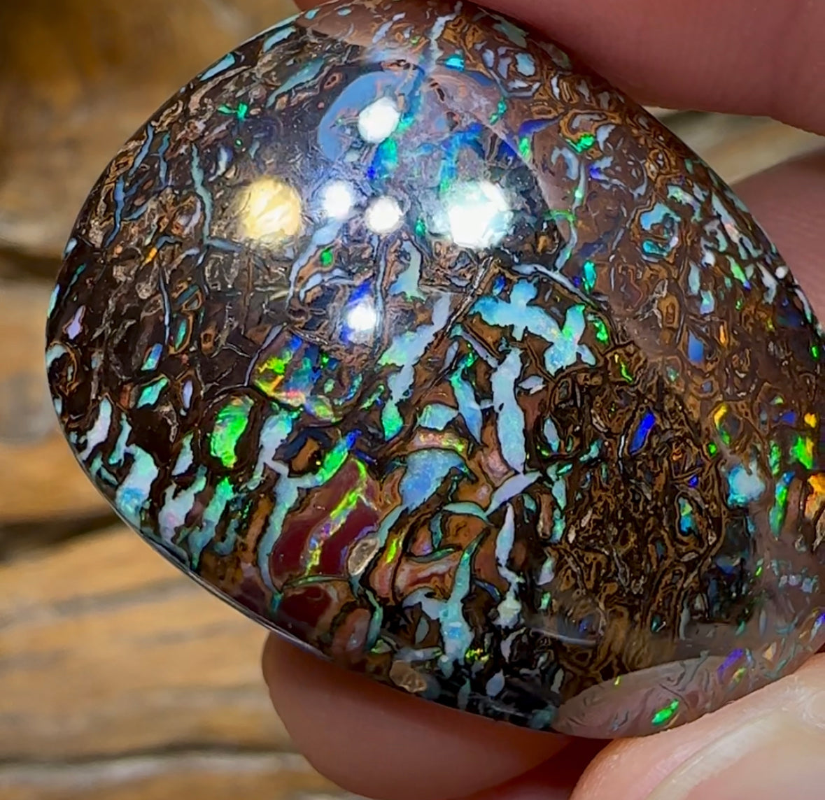 92.4cts - Tribal Koroit Nut Opal - Opal Whisperers