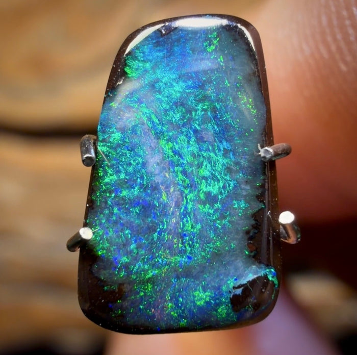 🔨 AUCTION 🔨 1.55cts - Queensland Boulder Seam Opal from Winton. Australian Opal