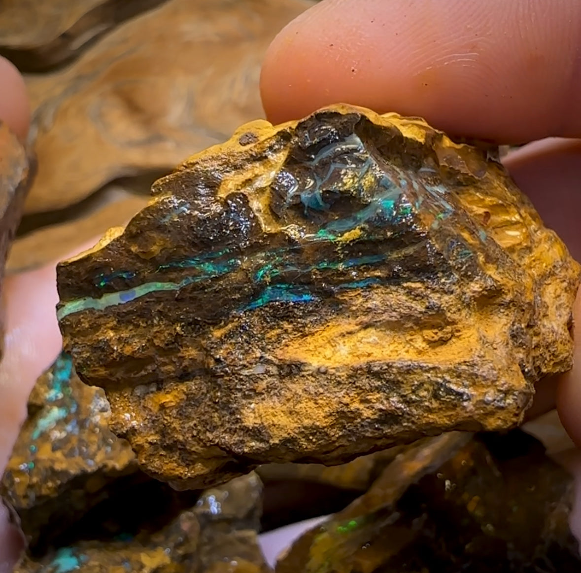 1563cts - 8x Yowah Opal Rough Parcel. Australian Boulder Opal