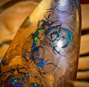 66.1cts - Queensland Boulder Opal from Yowah