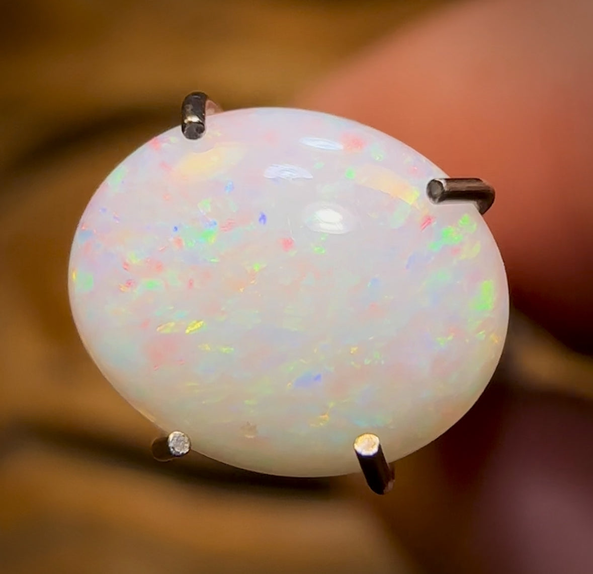 🔨 AUCTION 🔨 0.95cts - South Australian White Opal