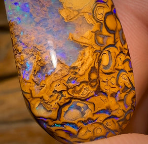 69.2cts - Yowah Nut Tribal Opal w/ Partial Crystal Centre!