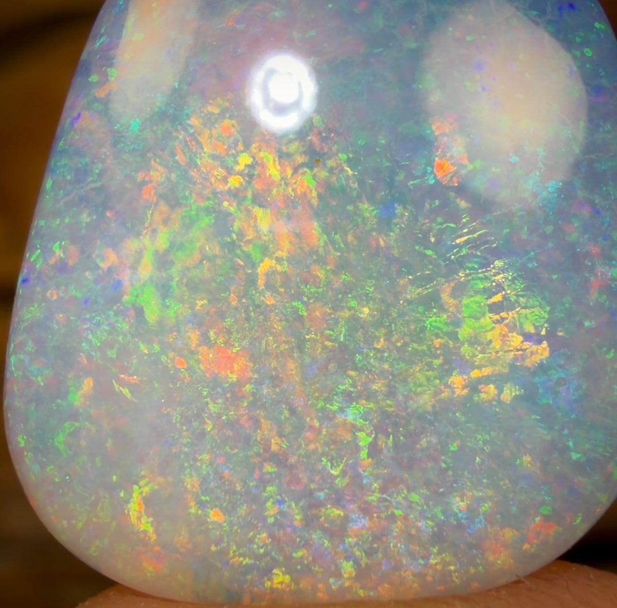 20.1cts - GEM Rare Opal Fossil Wood Crystal Opal