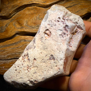 2061cts - HUGE Lightning Ridge Potch Opal Rough Piece 10c/ct