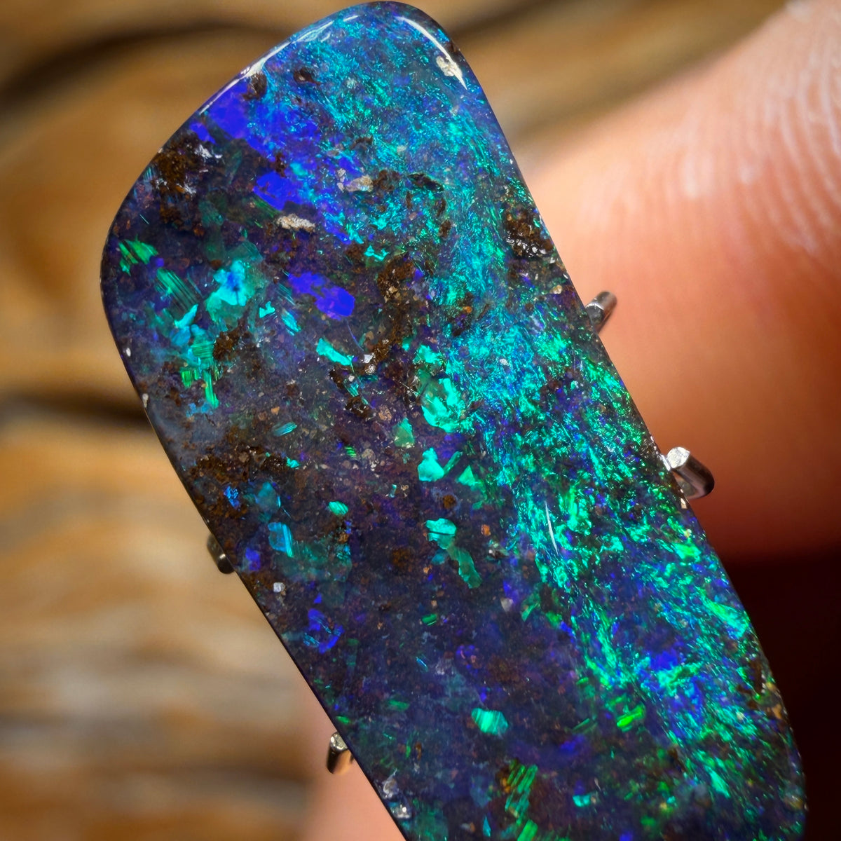 7.1cts - Top Australian Boulder Seam Opal from Winton