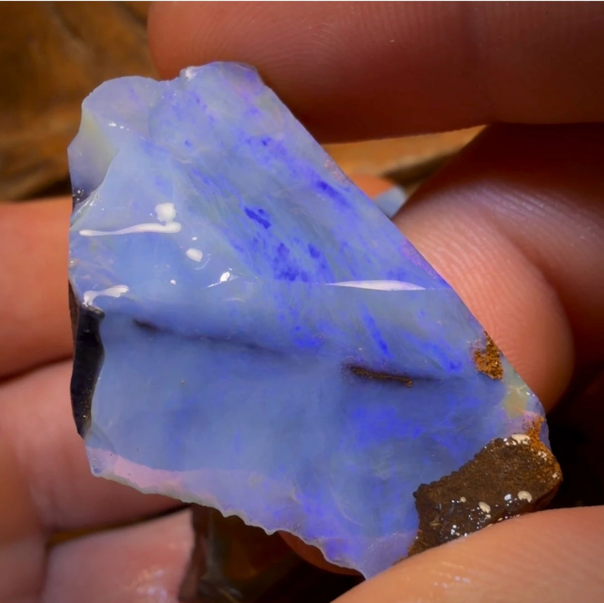 🔒 I’ve Got the Blues Collection 195.9cts - 3x Australian Boulder Seam Opal Rough Parcel