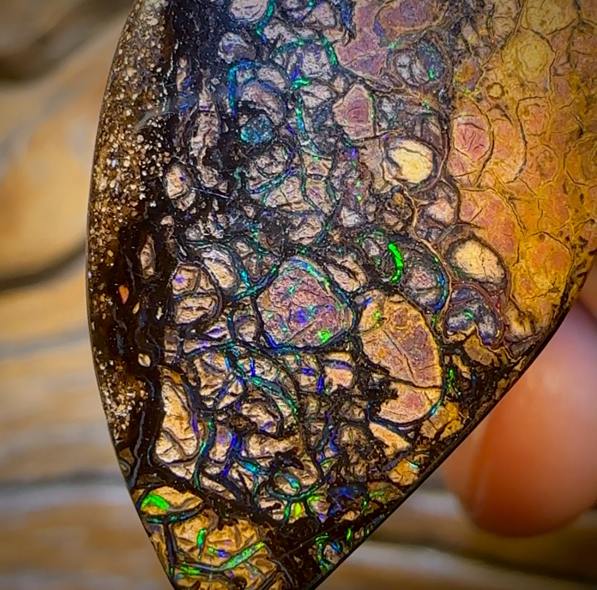 42 x 20mm - Drilled Australian Tribal Boulder Opal Necklace