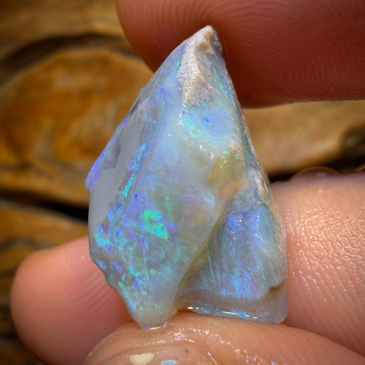 15.1cts - Lightning Ridge Opal Rough Piece