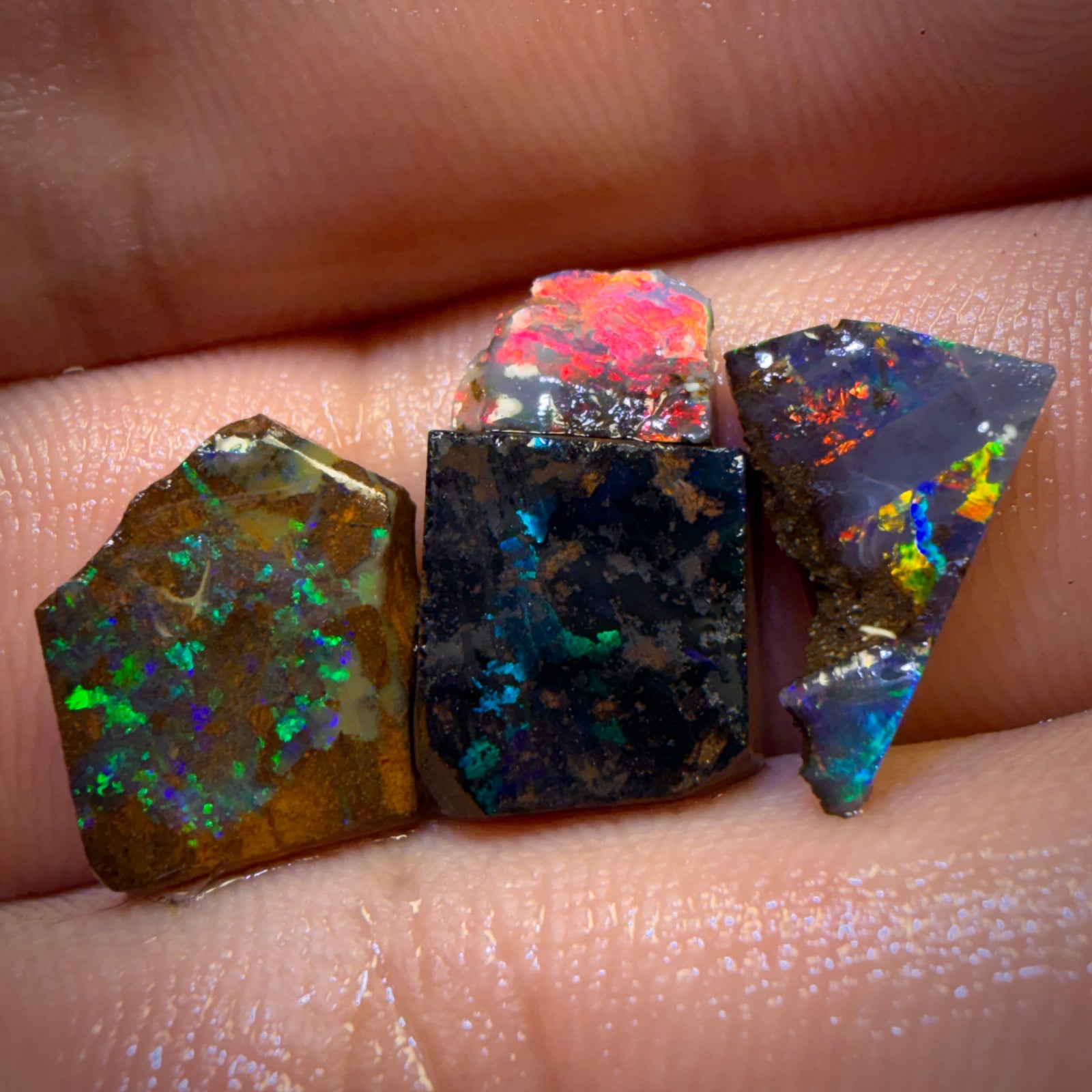 15.4cts - 4x Queensland Boulder Opal Rough Preform’s