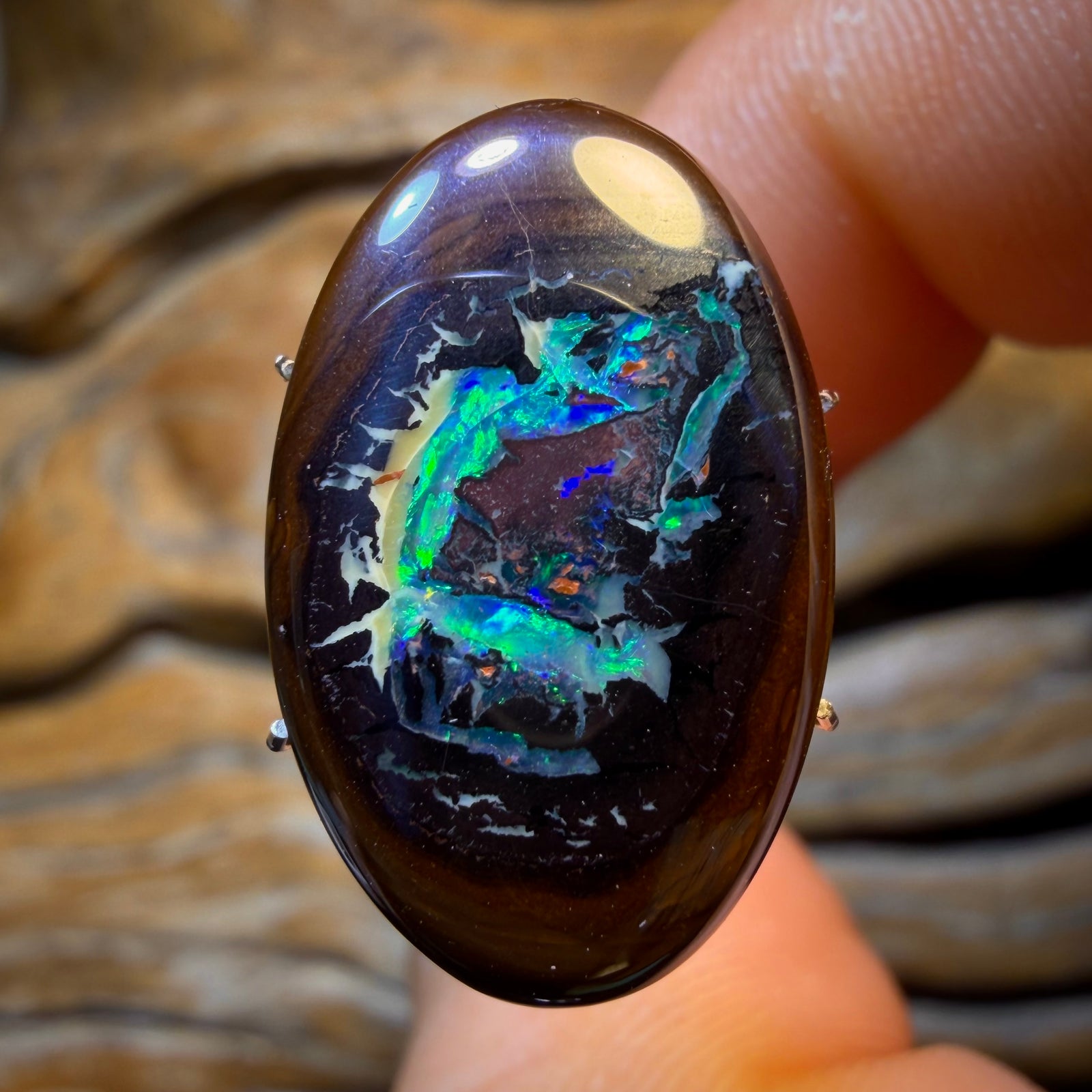 15.5cts - Rare Yowah Nut Partial Crystal Centre Opal