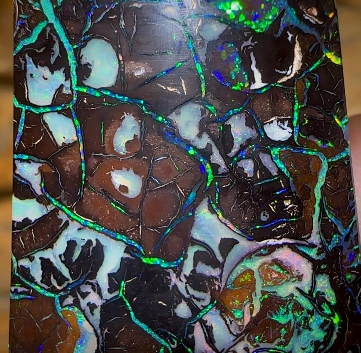 38.1cts - Top Tribal Australian Boulder Opal. - Opal Whisperers