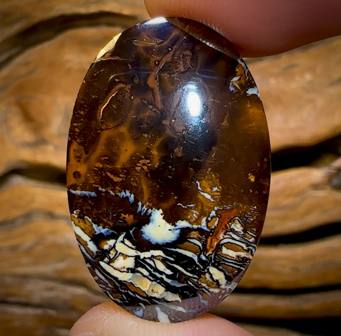 41.6cts - “Priceless” Queensland Boulder Opal. Tribal Matrix