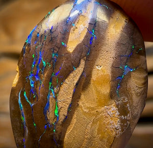 13.3cts - Queensland Boulder Opal from Yowah
