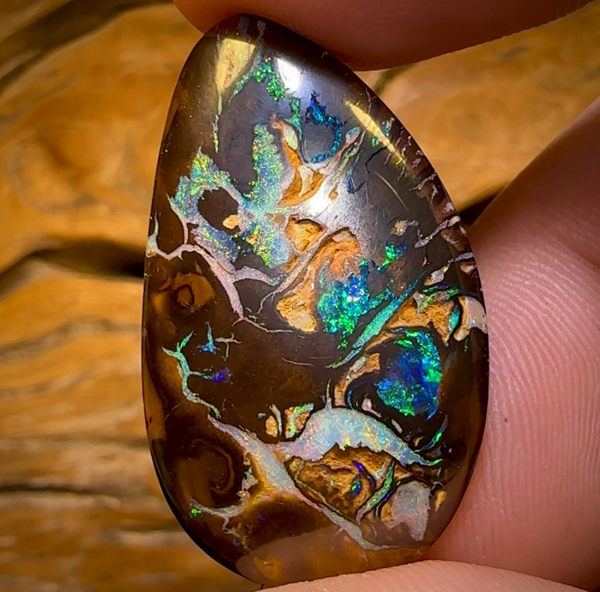 47.9cts - Rare Top Broad Tribal Yowah Nut Opal
