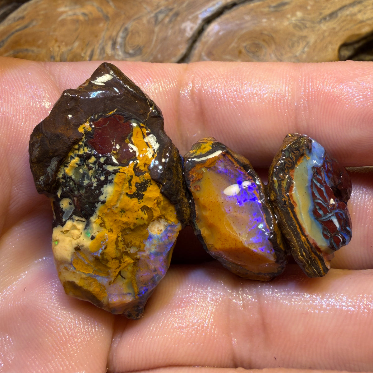 154.2cts - 3x Yowah Nut Rough Opal Parcel