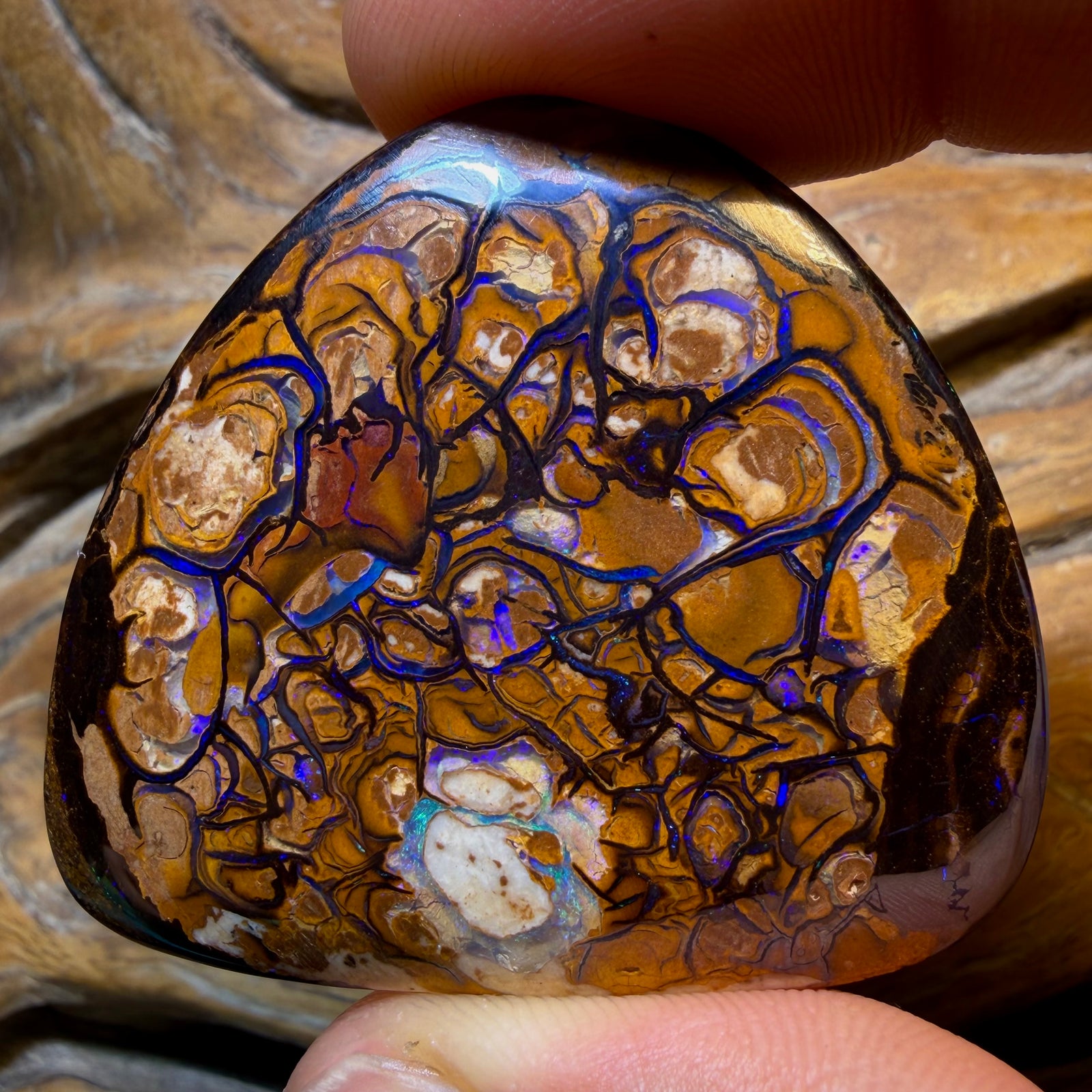 155.6cts - Tribal Queensland Boulder Opal from Yowah