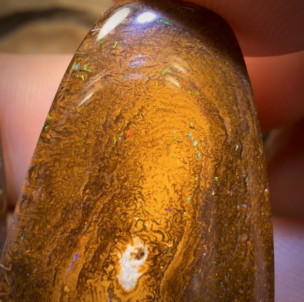 60.6cts - Tan Tribal Queensland Boulder Opal Pair