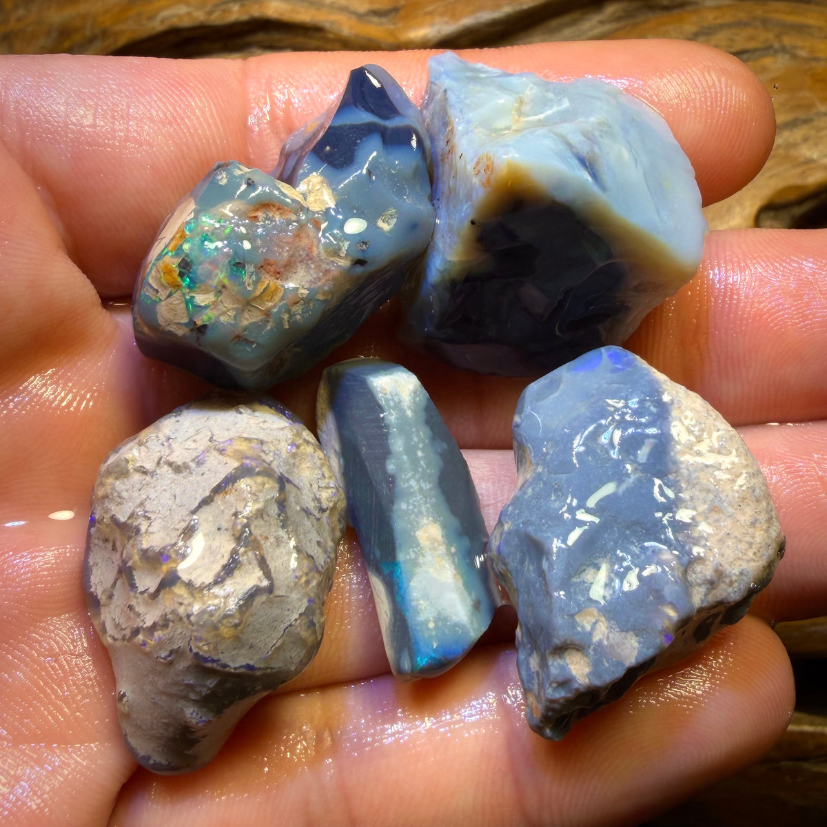 157.8cts - 5x Lightning Ridge Opal Rough Parcel