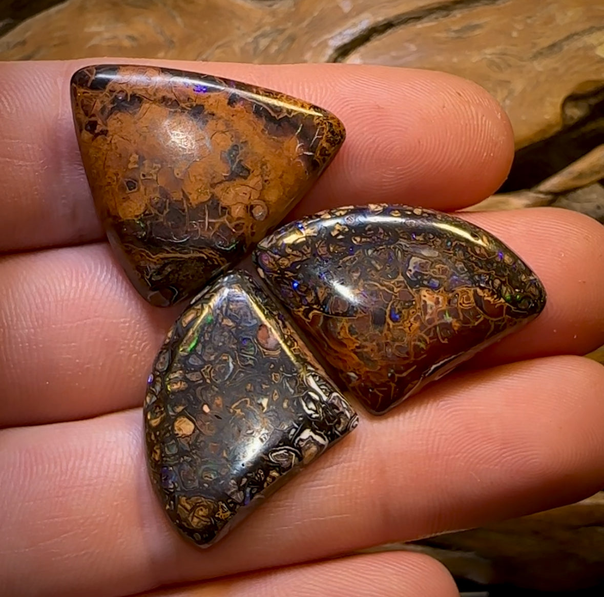 58.1cts - Rare Yowah Nut Opal Parcel. Tribal Pattern Matching Trio In Unique Orange Iron Stone