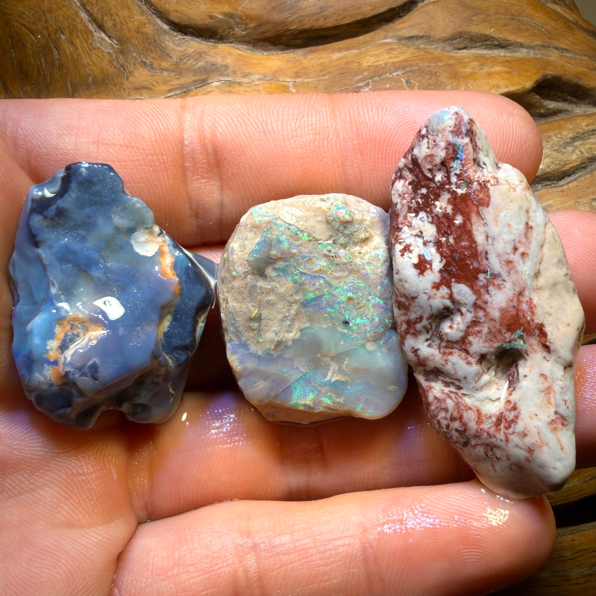 158.6cts - 3x Lightning Ridge Opal Rough Parcel