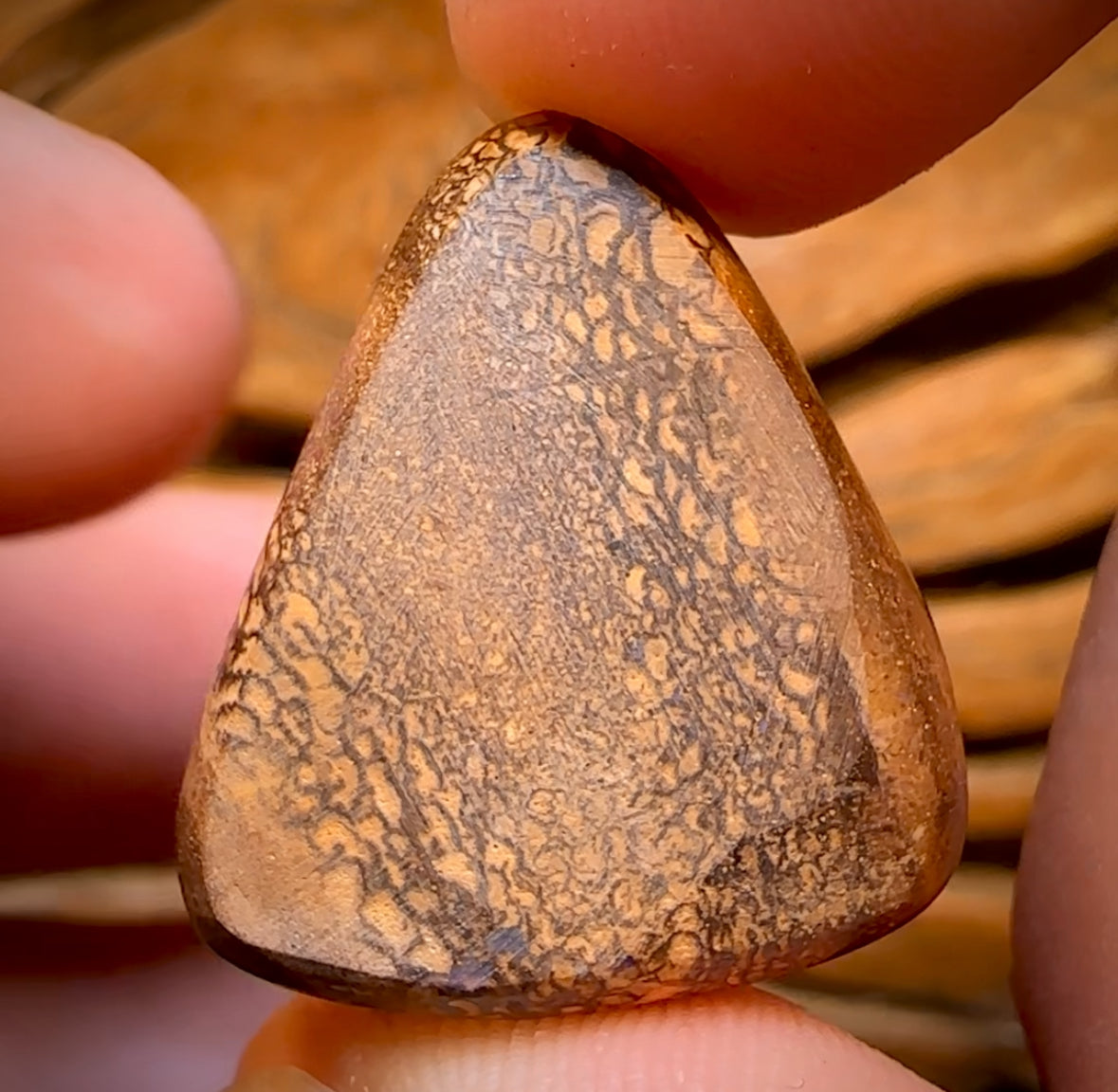 28.8cts - Queensland Boulder Seam Opal. Clean Full Face!