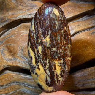 Checkout My WildCard Wood! 159.2cts - Australian Boulder Opal from Yowah. Double Sided