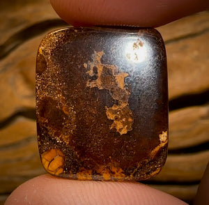 🔨 AUCTION 🔨 No Reserve 21.6cts - Yowah Nut Opal