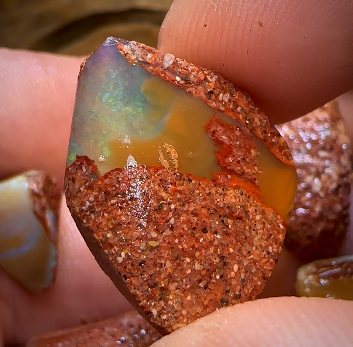 68.2cts - 5x Queensland Boulder Pipe Opal Rough Parcel