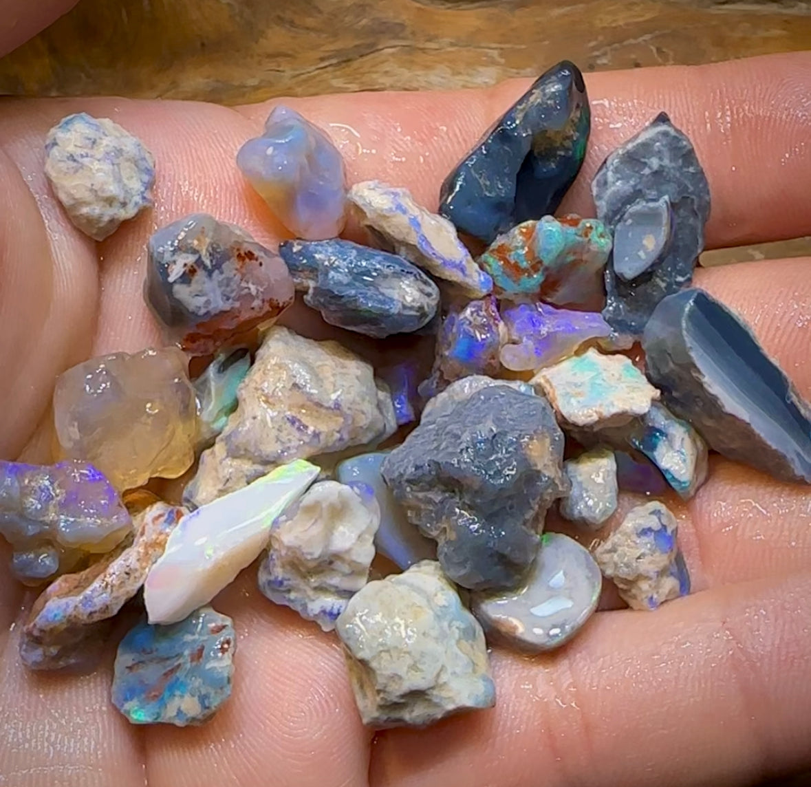 152.8cts - 32x Lightning Ridge Crystal, Dark and Black Opal Rough. Less than $10/piece - Opal Whisperers