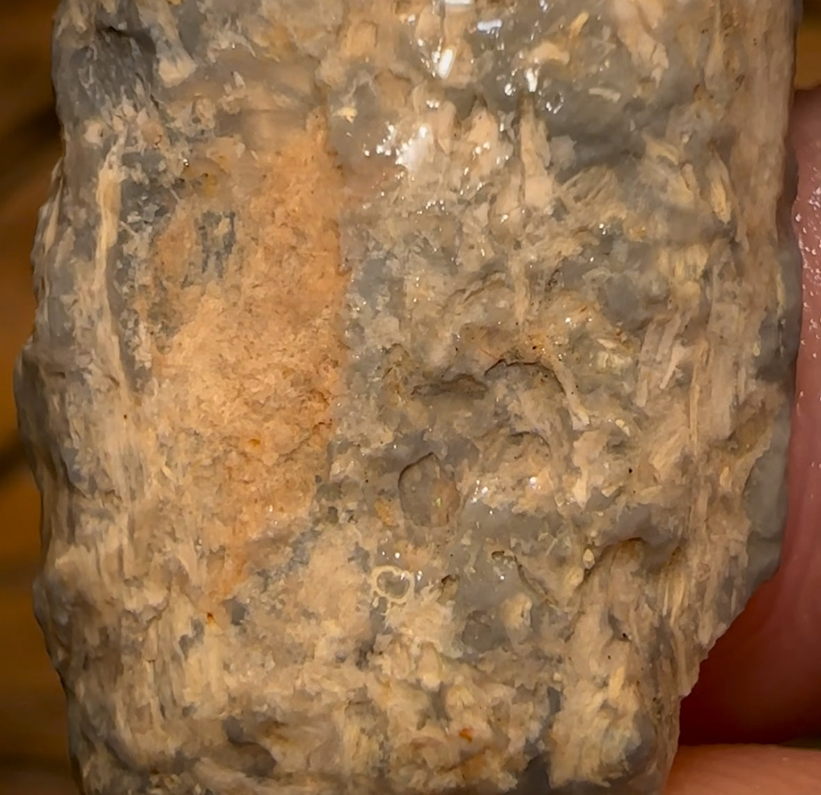 Auction Fall-Through = Your Gain! 🔥 Now More Than 50% Off RRP 🚨 27.6cts - Lightning Ridge Wood / Vegetation Fossil Opal Rough Specimen