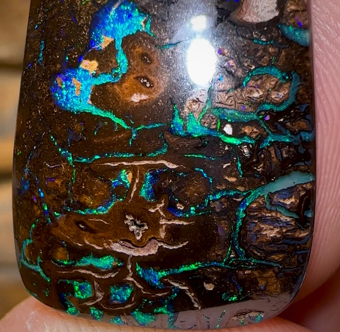 71.4cts - Tribal Koroit Nut Opal - Opal Whisperers