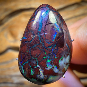 16.4cts - Tribal Queensland Boulder Opal from Koroit
